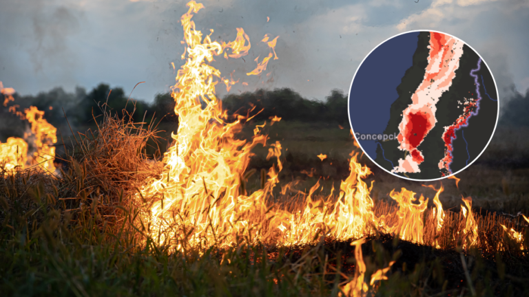 Alerta por incendios forestales en Chile: CONAF activa Botón Rojo en más de 140 comunas