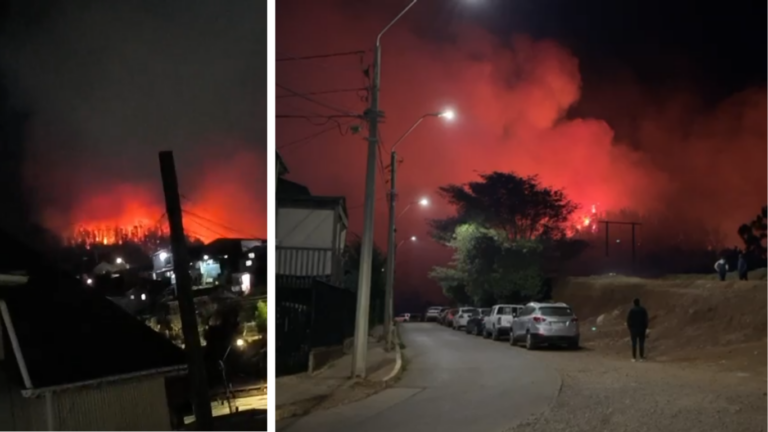 Incendio forestal mantiene alerta roja en Constitución: van 50 hectáreas consumidas