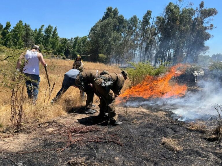 Alerta vecinal y acción de Carabineros frustran intento de incendio forestal en Talca