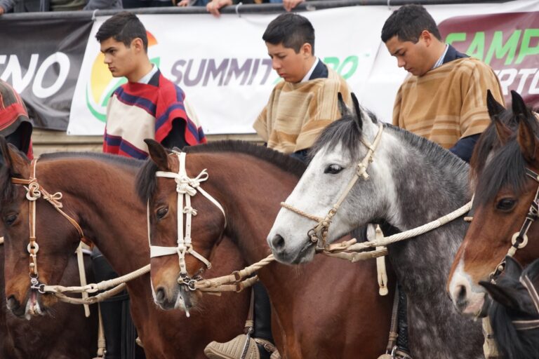 Pirque será sede este fin de semana del Rodeo Clasificatorio Escolar Centro Norte