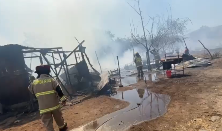 Declaran Alerta Roja en Talca por avance de incendios forestales próximos a sectores urbanos