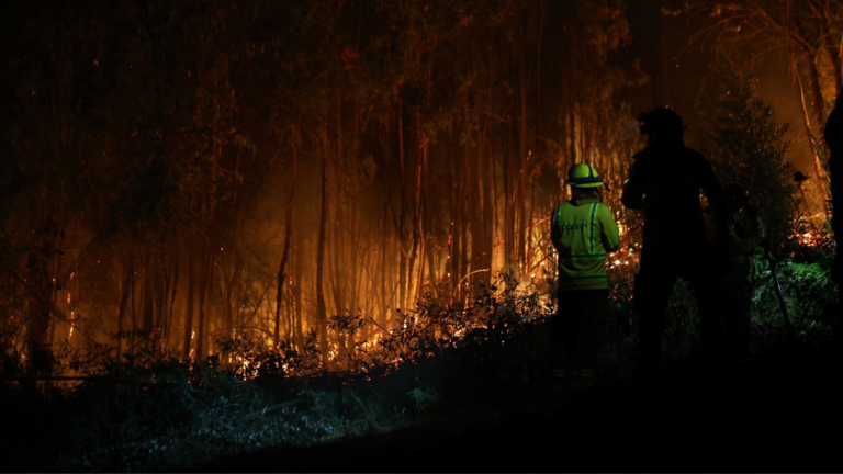 Carabineros confirma denuncias por contenedores con bencina en rutas del Biobío en medio de megaincendio