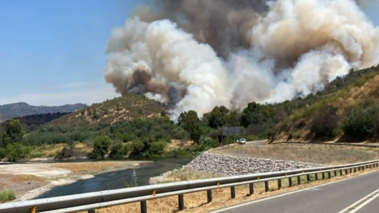 Alerta Roja en Curepto por incendio forestal cercano a viviendas