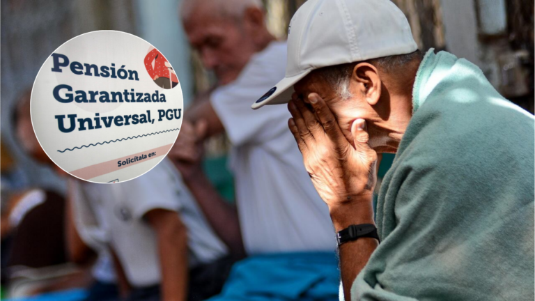 No fue un error, fue un horror: suspensión de la PGU desata polémica y obliga a investigar fallas en controles