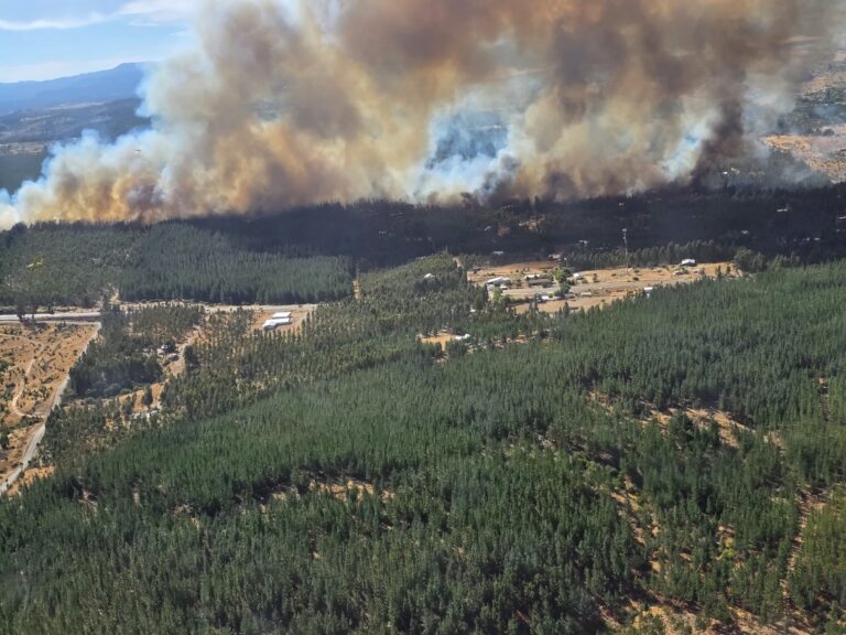 Incendio en Cauquenes obliga a evacuar sectores y mantiene alerta roja: 350 hectáreas afectadas