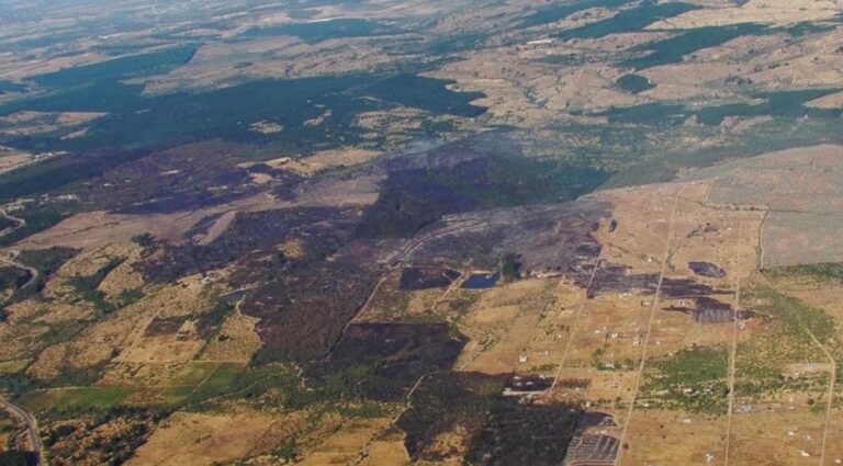 Incendio en Cauquenes arrasa 414 hectáreas y se mantiene contenido bajo vigilancia