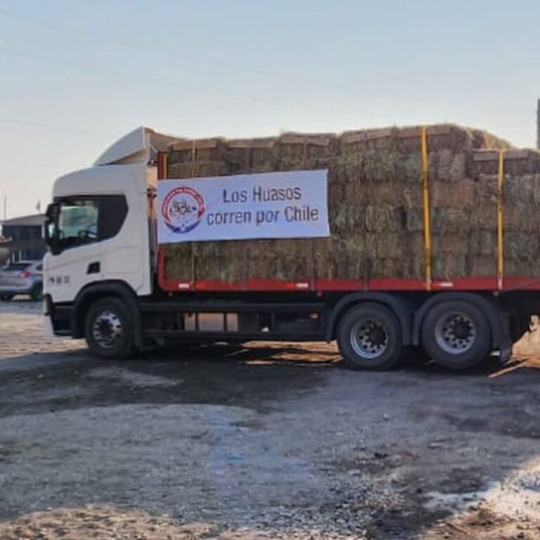 Ferochi y municipios rurales coordinan apoyo ante incendios en Biobío y Ñuble