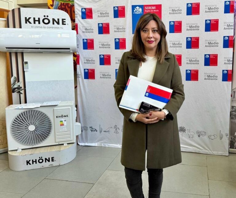 ¿Necesitas cambiar tu calefactor? Programa de recambio beneficia a vecinos de Talca y el Maule