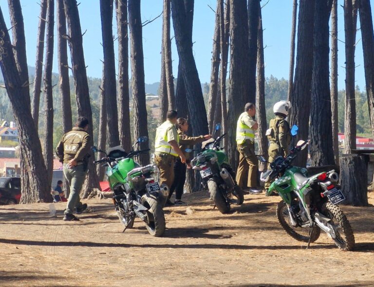 Violenta riña en ex camping de Pelluhue deja dos personas detenidas