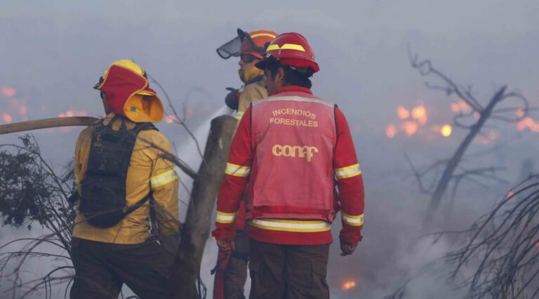 CONAF Maule desvincula a dos brigadistas captados jugando con brasas en base de Romeral