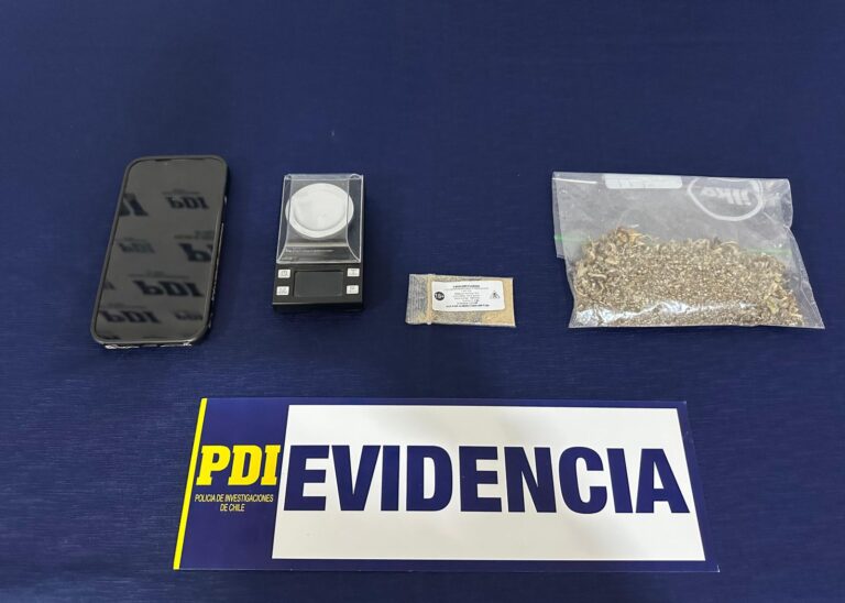 Operativo policial intercepta drogas alucinógenas enviadas desde Holanda a Vichuquén