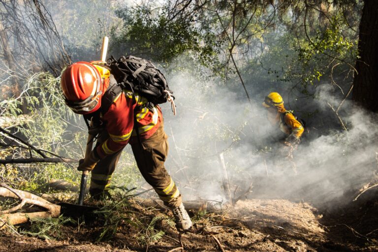 CONAF entrega balance de incendios forestales en la Región del Maule