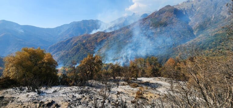 Incendios forestales golpean al Maule con focos activos en Parral y Linares