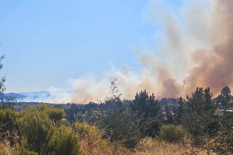 ALERTA ROJA EN ÑUBLE: incendio “Coroney” se encuentra activo y con225 hectáreas afectadas
