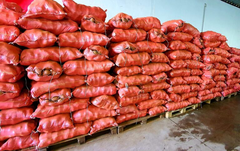 Saco de papas sube un 130% en Talca: precio llega a los $14.000