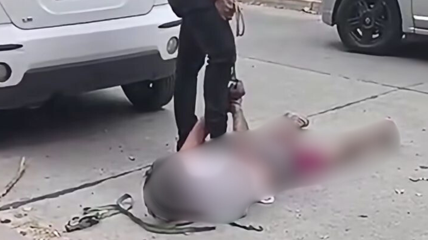 Impactante caso en Talca: hombre es detenido tras violento ataque a bebé en Parque Río Claro