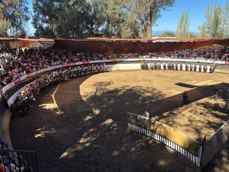 Clasificatorio Zona Centro del Rodeo se vive este fin de semana en San Clemente
