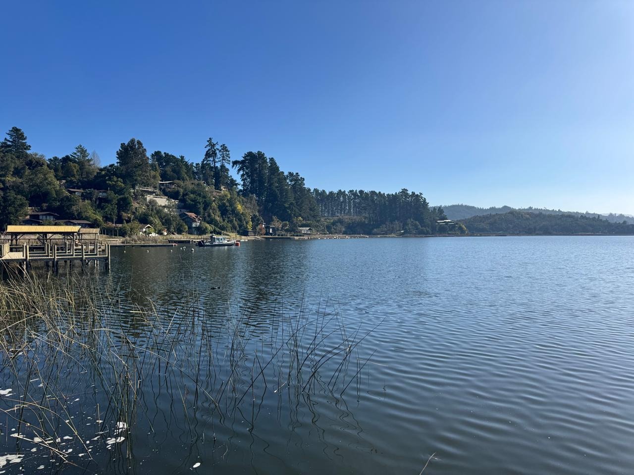 Gobierno busca recuperar Lago Vichuquén: inician proceso para avanzar en su descontominación