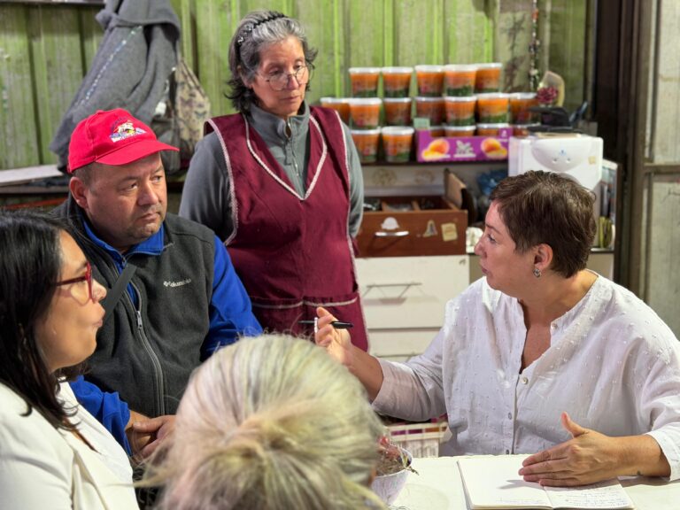 Senadora Beatriz Sánchez: “El alza en el costo de la vida en el Maule es responsabilidad del gobierno y no quiere hacerse cargo”