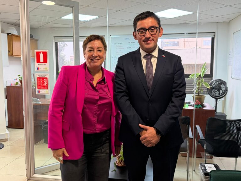 Seremi de Energía confirma a senadora Beatriz Sánchez el subsidio eléctrico para la región del Maule