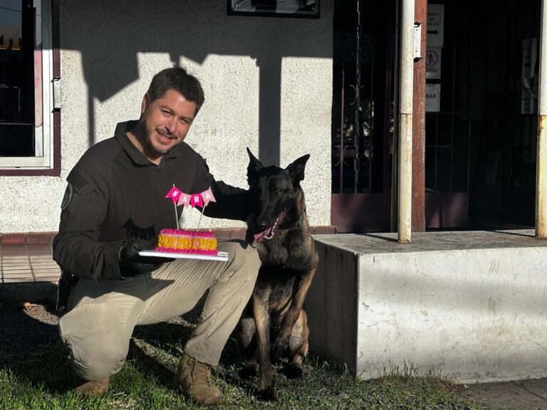 PDI celebra primer año de “Sara”, can detectora que destaca en el Maule