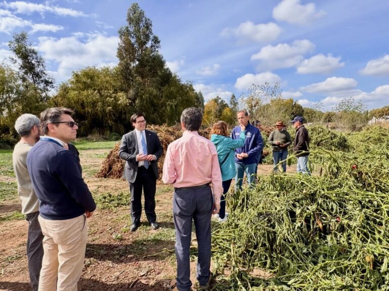 Proyecto ambiental transforma desechos agrícolas en compost en Maule