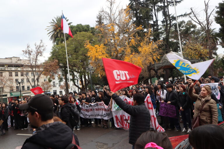 Movilización de la Confechcontra políticas educativas del Gobierno tuvo menor participación en Talca