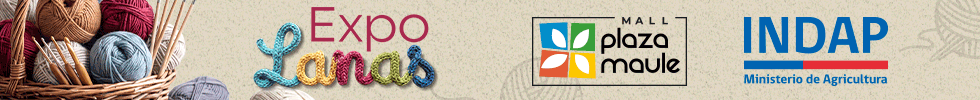 spot_img