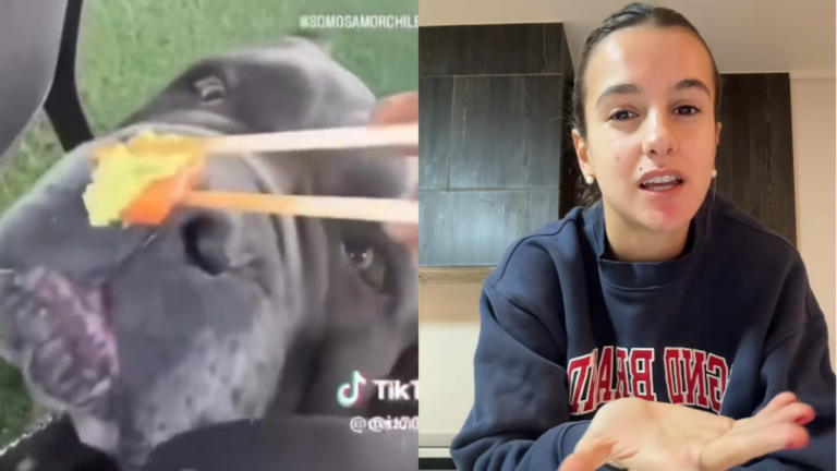 Tras polémica por darle wasabi a su perro: crece la indignación contra Josefa Sáez por sugerir operar a loro para que no vuelve