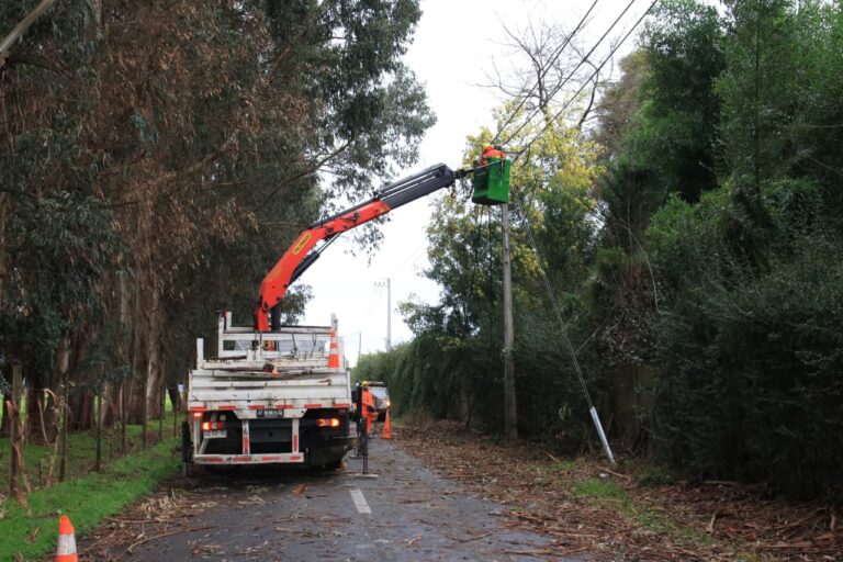 CGE confirma la reposición del 100% del suministro eléctrico en el Maule: ¿Cómo está tu sector?